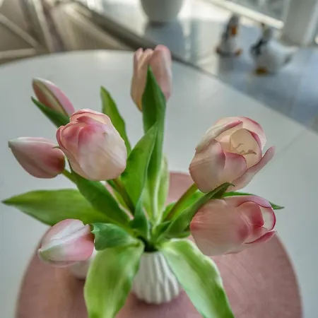 - Haus Q, App 0q0108 