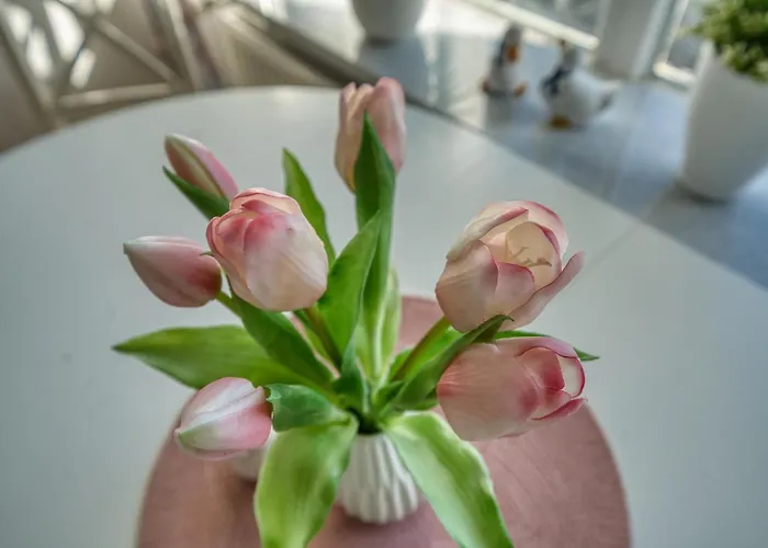 - Haus Q, App 0q0108 